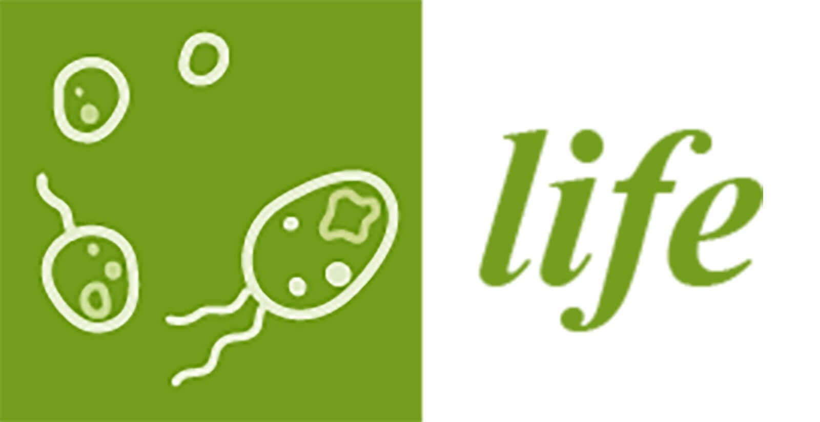 life logo